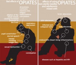 effects of opium