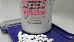 hydrocodone opium